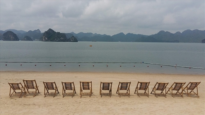 dep me hon dao hoa sim tim giua vinh ha long