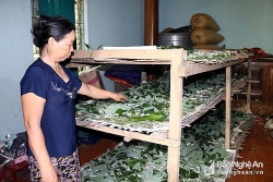 cho tam an la san lon nhanh nhu thoi bo ra tram ngan lai ca trieu