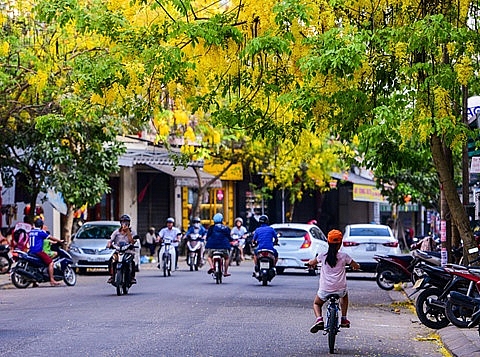 hue rop troi sac hoa nhung ngay dau ha