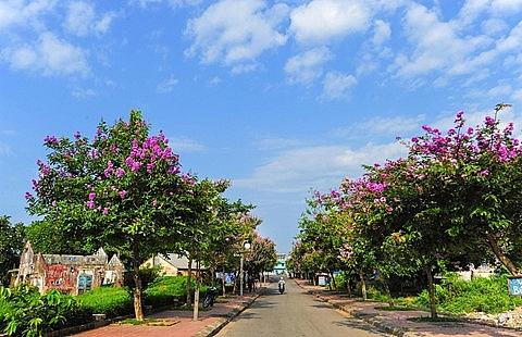 hue rop troi sac hoa nhung ngay dau ha