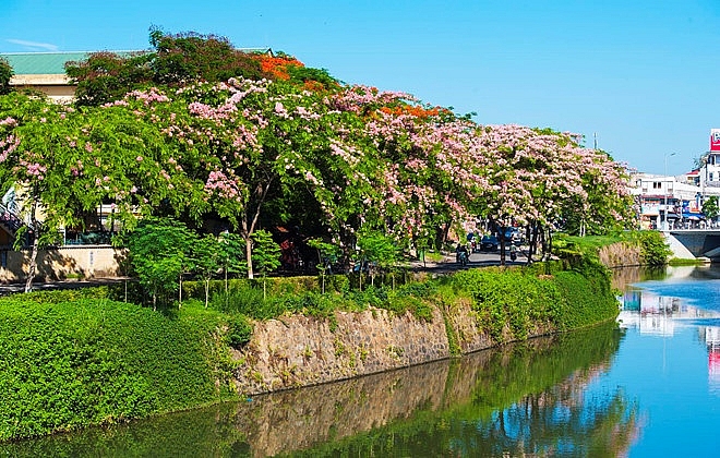 hue rop troi sac hoa nhung ngay dau ha