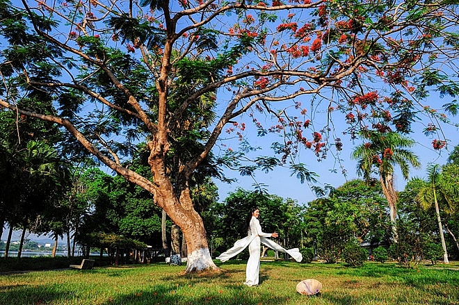 hue rop troi sac hoa nhung ngay dau ha