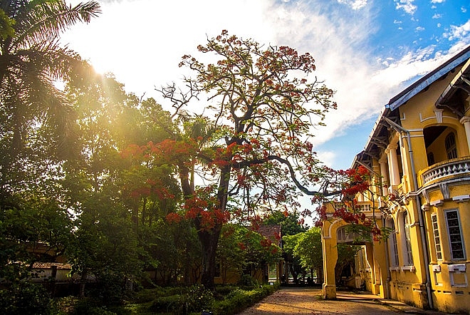 hue rop troi sac hoa nhung ngay dau ha