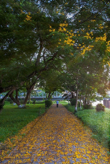 hue rop troi sac hoa nhung ngay dau ha