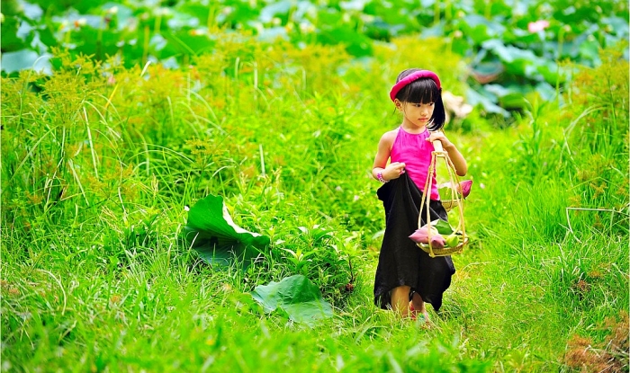 hue rop troi sac hoa nhung ngay dau ha