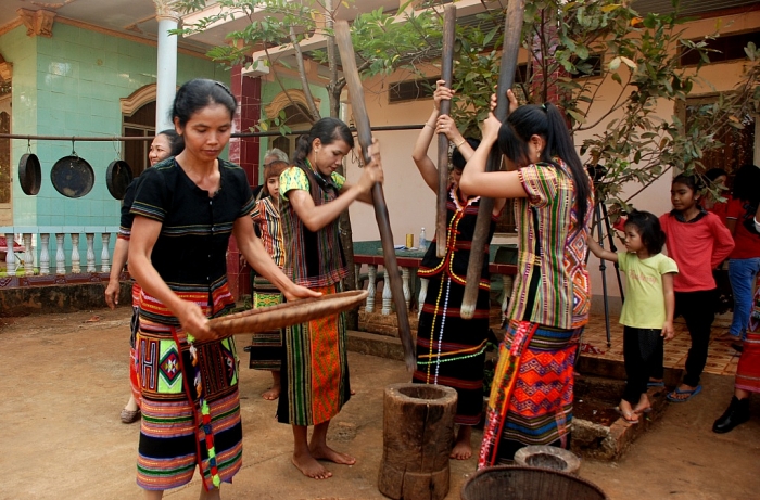 soc bom bo o tinh nao
