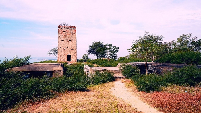 dac san thanh long cua vung dat nao