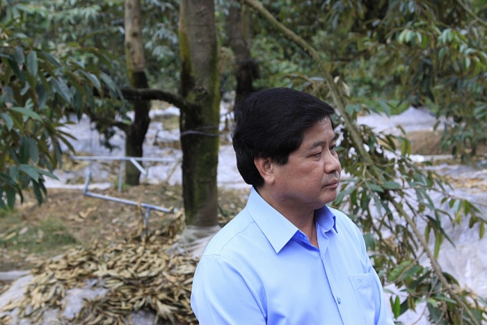 o noi nay nha nao cung co kho bau tien ty gai nhon chi chit