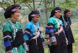 da nang co bao nhieu cay cau bac qua song han