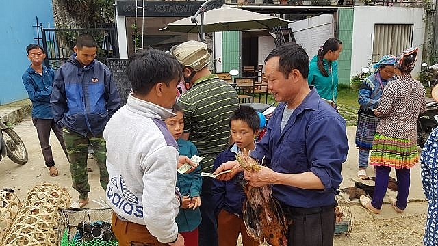 net nguyen so mang dam ban sac dan toc o phien cho lon nhat tay bac