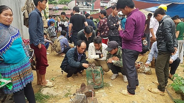 net nguyen so mang dam ban sac dan toc o phien cho lon nhat tay bac
