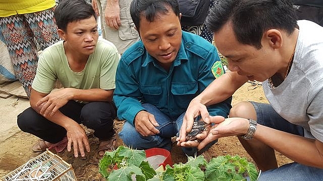 net nguyen so mang dam ban sac dan toc o phien cho lon nhat tay bac