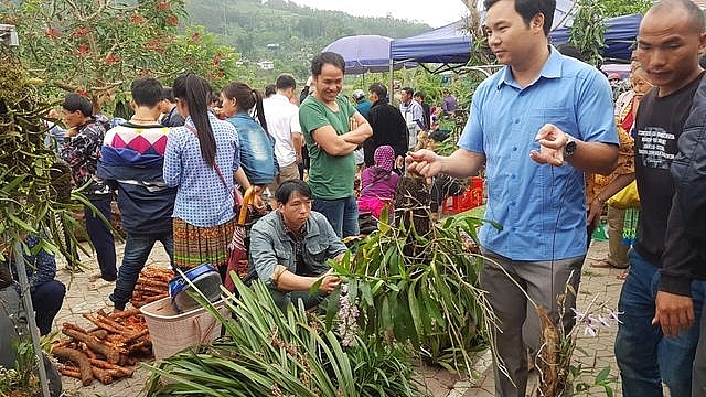 net nguyen so mang dam ban sac dan toc o phien cho lon nhat tay bac