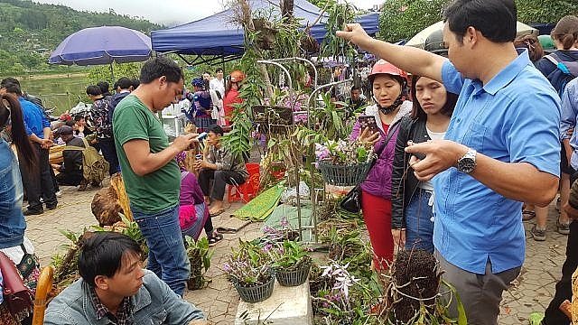 net nguyen so mang dam ban sac dan toc o phien cho lon nhat tay bac