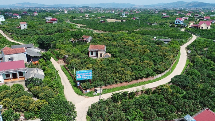tinh nao nam o cuc bac cua viet nam