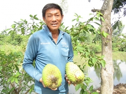 nhung em be di cho tren lung me o bac ha