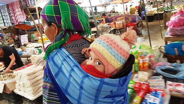nhung em be di cho tren lung me o bac ha