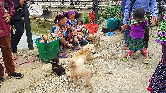nhung em be di cho tren lung me o bac ha