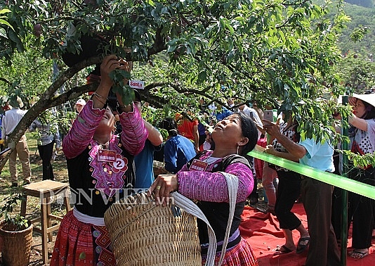 ruc ro sac mau tai ngay hoi hai qua 2019 o moc chau