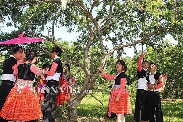 ruc ro sac mau tai ngay hoi hai qua 2019 o moc chau