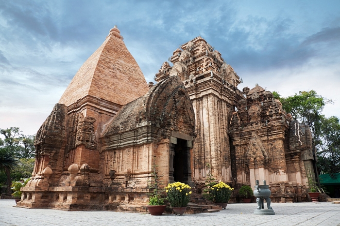 chim yen la bieu trung cua tinh nao