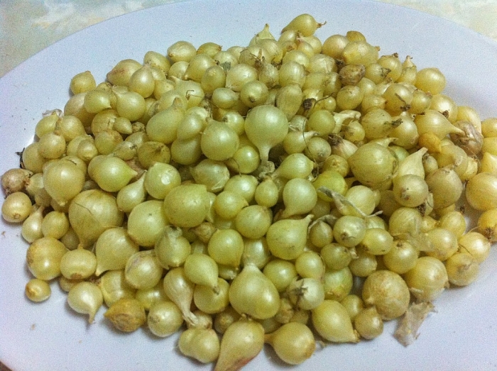 banh to moc la mon an truyen thong trong ngay tet cua tinh nao