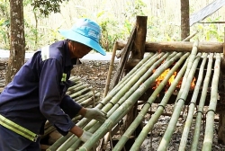 doi den ban dem di cho bien thien cam muc con bung tanh tach