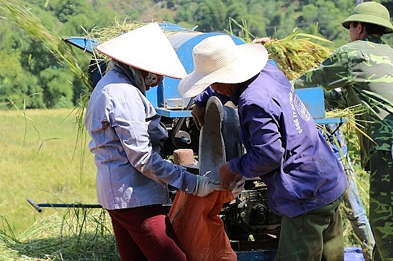 chum anh mua ngoc troi tren tu dai canh dong lon nhat tay bac