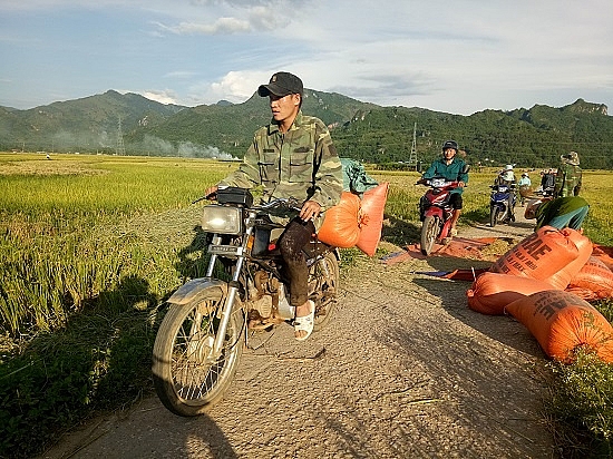 chum anh mua ngoc troi tren tu dai canh dong lon nhat tay bac