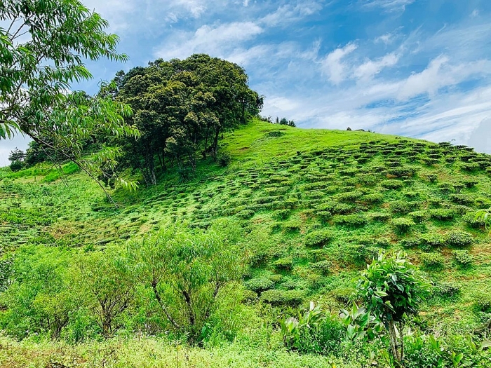 pa co mai chau voi nhieu trai nghiem cho ca gia dinh ban dip he nay