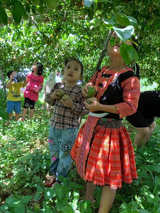 pa co mai chau voi nhieu trai nghiem cho ca gia dinh ban dip he nay