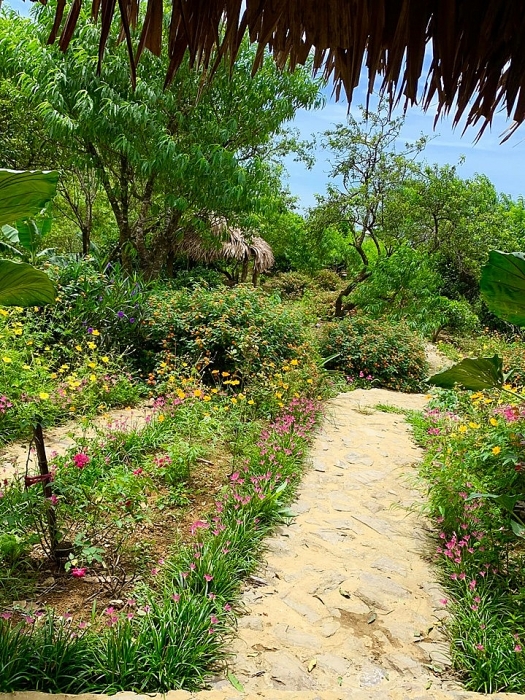 pa co mai chau voi nhieu trai nghiem cho ca gia dinh ban dip he nay