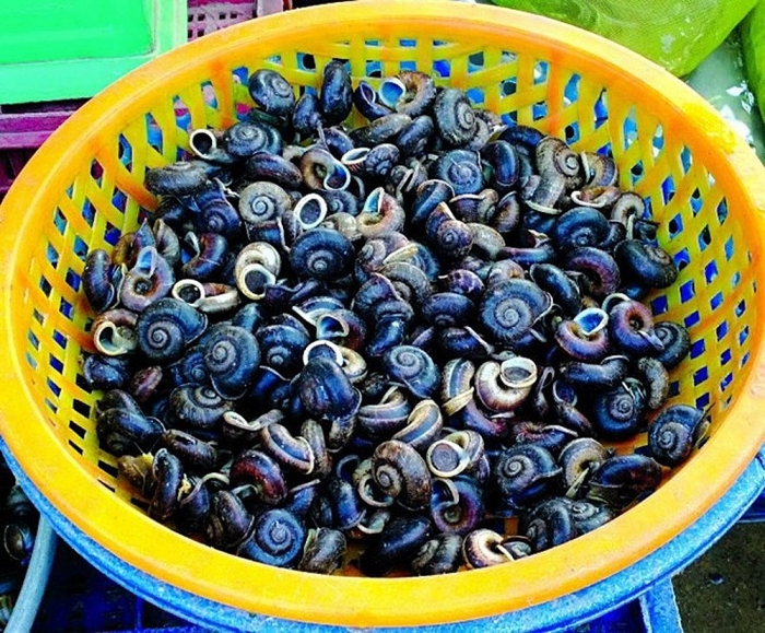 tay ninh noi tieng voi nhung dac san gi