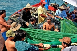 doc dao con duong thuyen thung cua lang chai bich hoa tam thanh