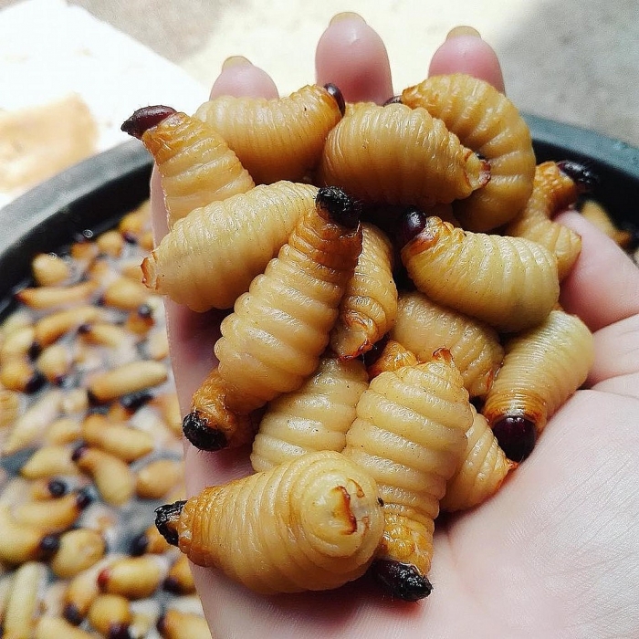 nam bo noi tieng voi dac san nao
