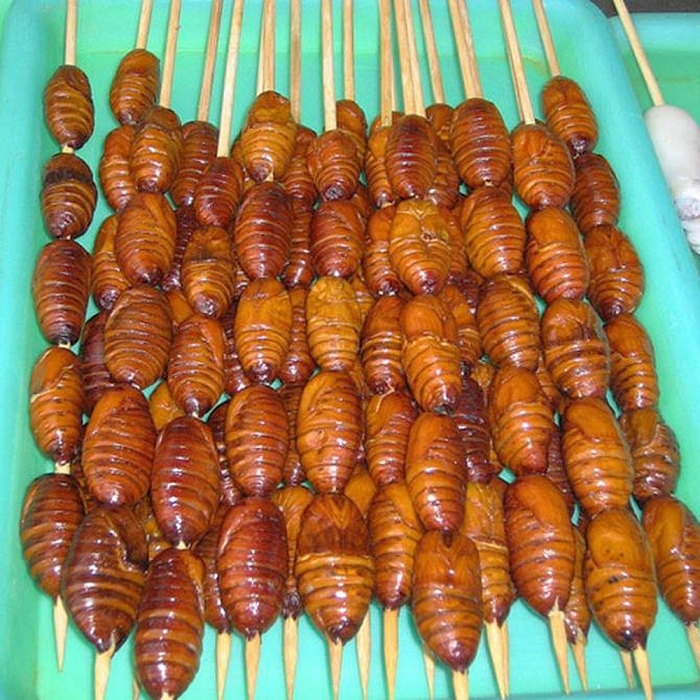 phu tho co nhung dac san gi nuc tieng