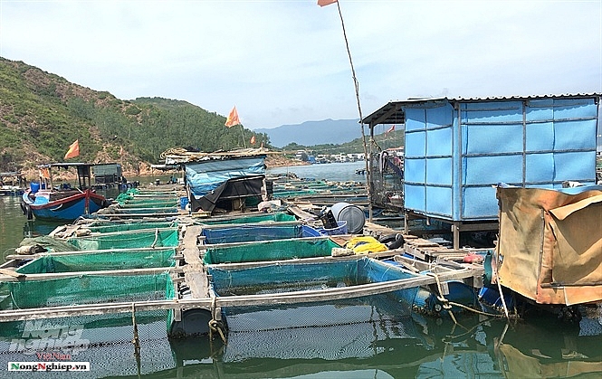nhot ca vao long het canh treo nieu ma ca lang con doi doi