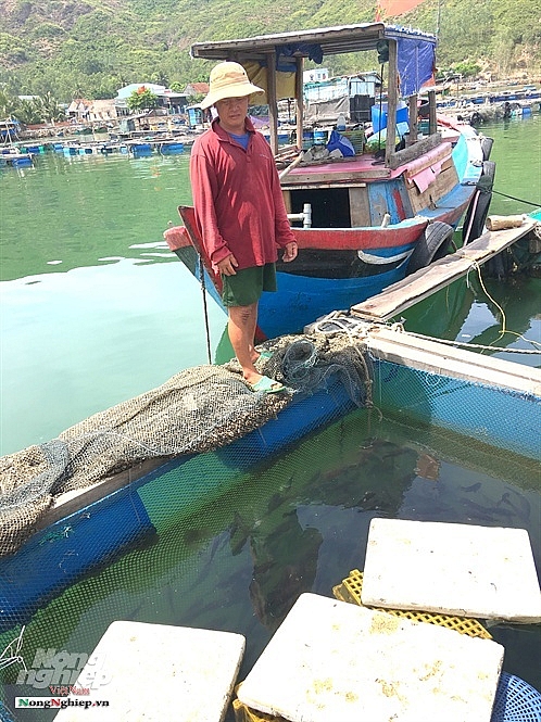 nhot ca vao long het canh treo nieu ma ca lang con doi doi