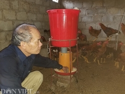 Nuôi gà chân dài như "siêu mẫu", U70 xứ Lạng thu 500 triệu/năm