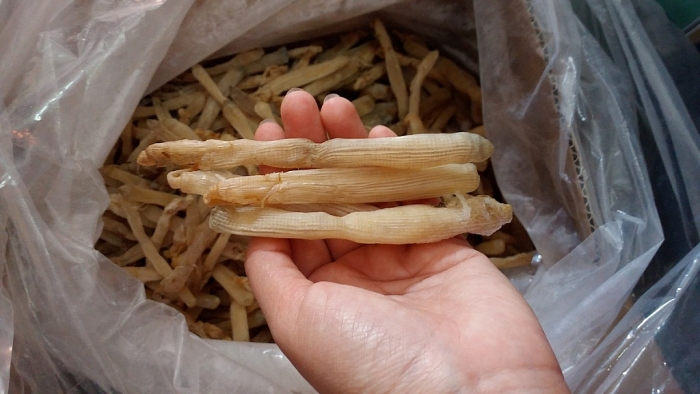 quang ninh co dac san gi hap dan du khach