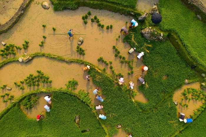 mua nuoc do dep nhu tranh o lao cai