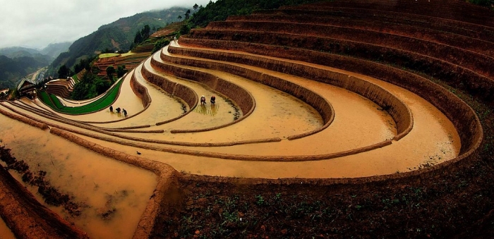 mua nuoc do tren ruong bac thang tu le va mu cang chai