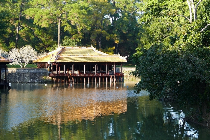 di san the gioi dau tien cua viet nam nam o tinh nao