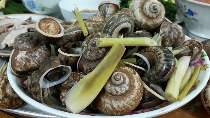 son la co nhung dac san gi la mieng