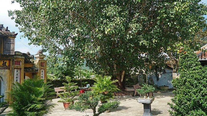 chua co tram nam tuoi ngoai khoi hoi an
