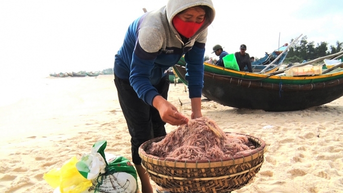 quang binh co nhung dac san gi say long du khach