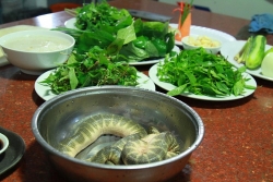 Quảng Bình có những đặc sản gì say lòng du khách?
