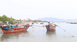 vinh ha long va quan dao cat ba chung hay rieng