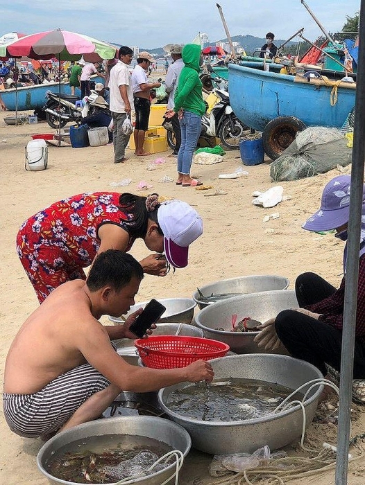 cho nau an nhech nhac tren bai bien vung tau