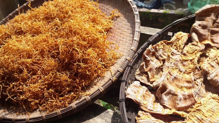 tuyen quang co dac san gi an tuong